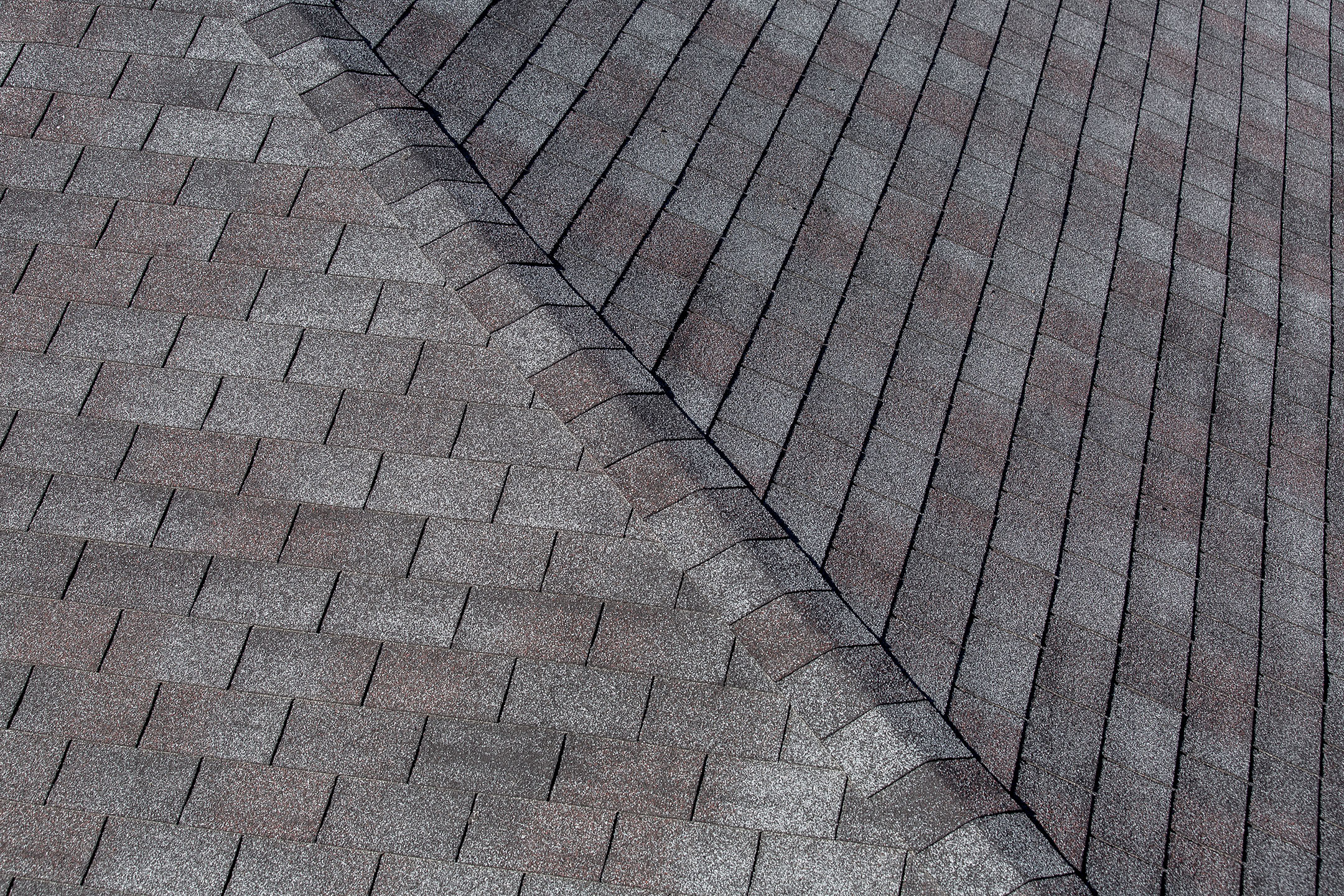 cary roofing services
