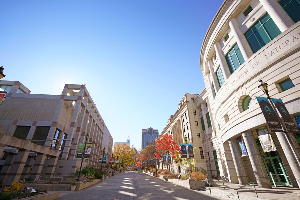 things to do in raleigh nc museum of natural science street