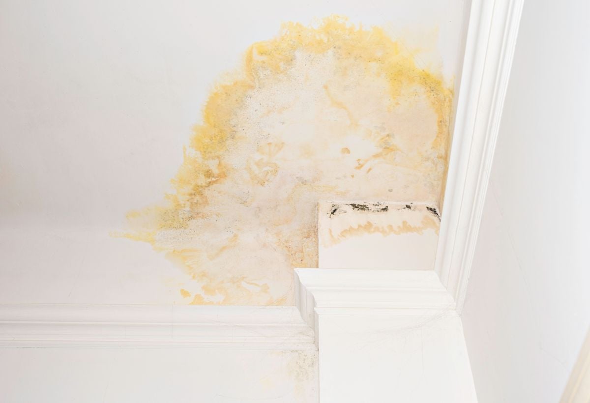 roof leak detection white wall hole yellow stains
