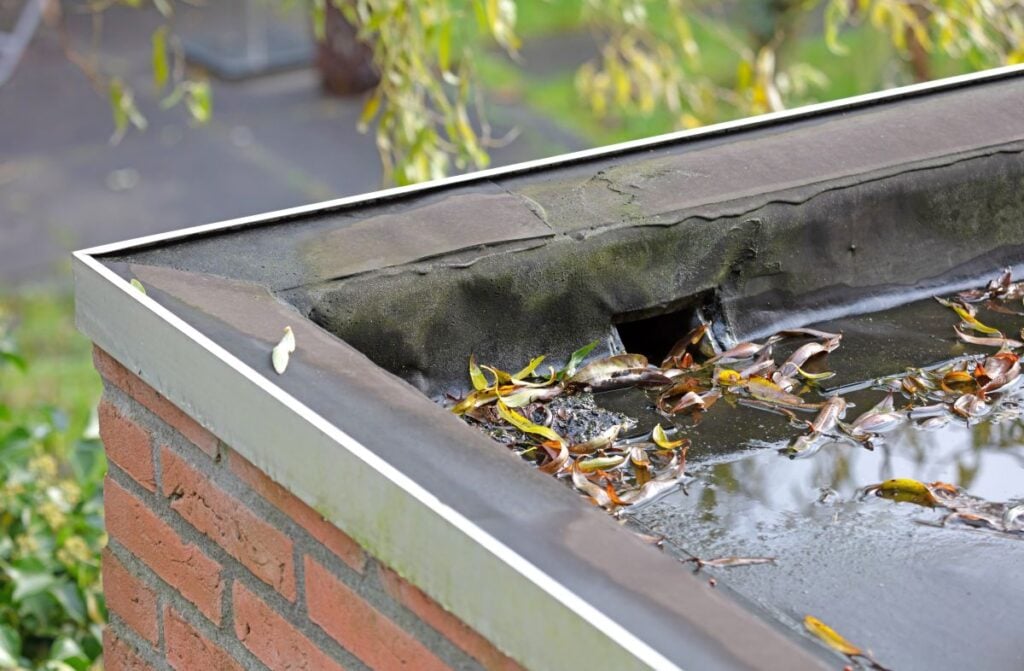 flat roof drainage water and leaves on top