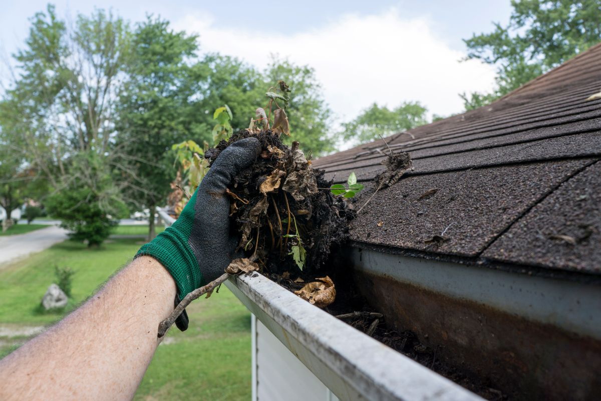 roof and gutter cleaning glove holding leaves and dirt
